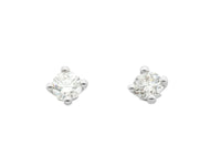 Earrings Terry