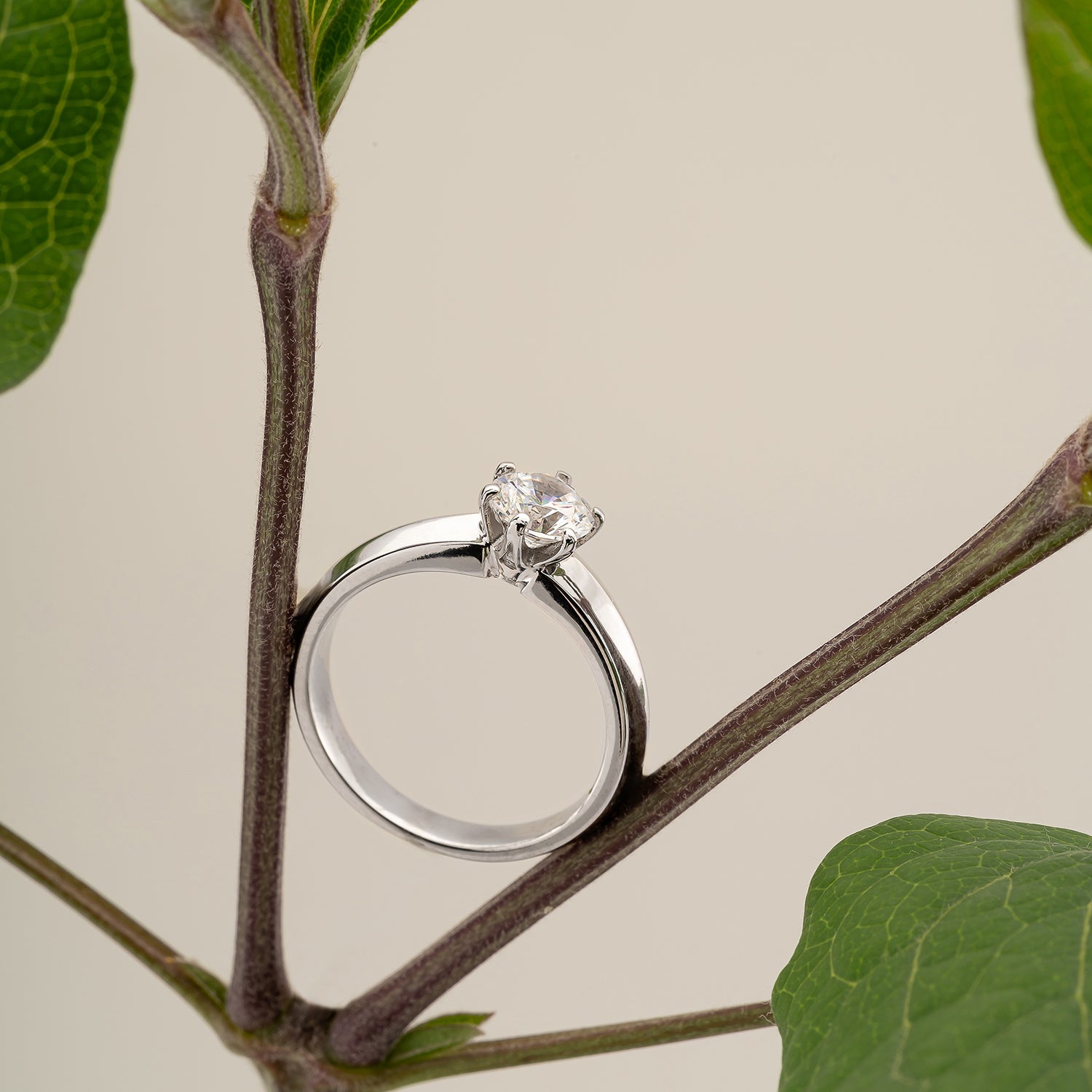 Engagement ring
