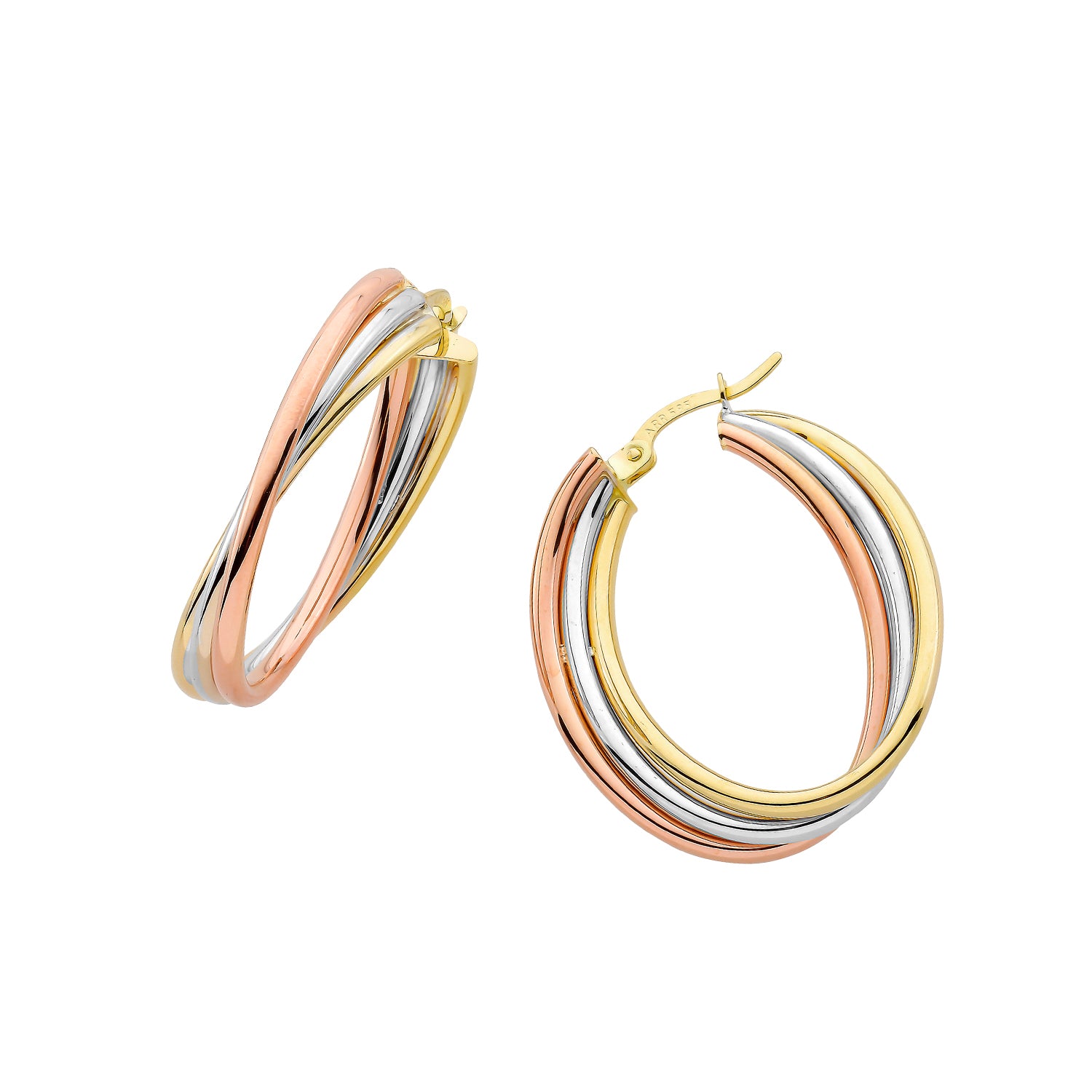 Hoop earrings Phlomena