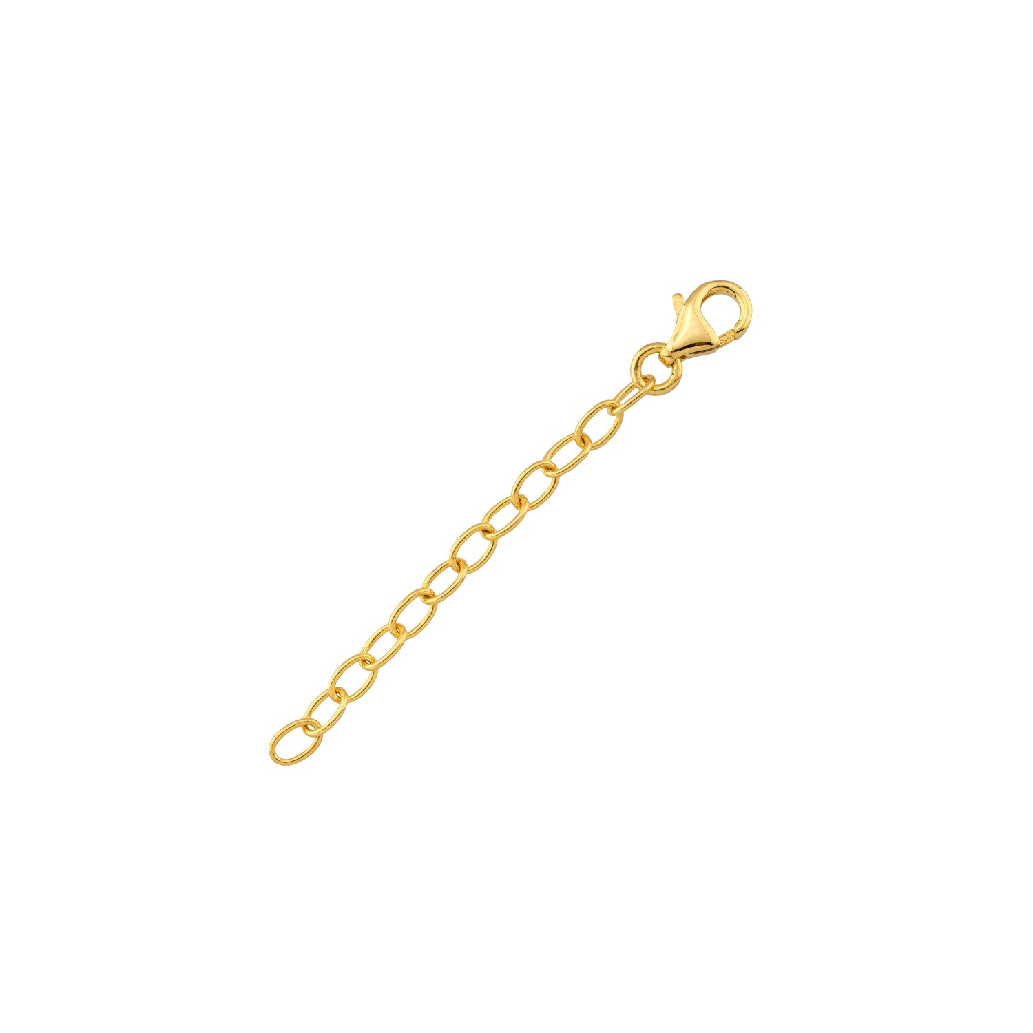 Verlängerungskette Karabiner