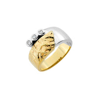 Ring Aurelia