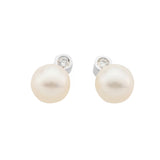 Freshwater pearl earrings