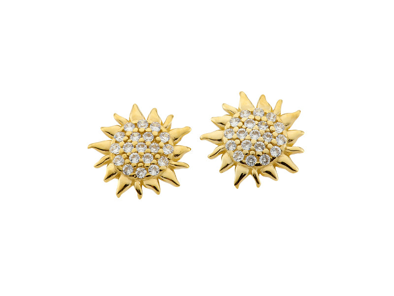 Hauke ​​earrings