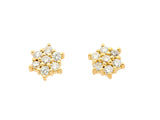 Earrings Jule